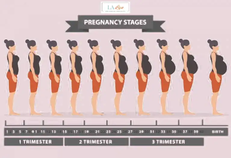 First Trimester (Weeks 1–12): Early Changes You Might Not Notice Melksham